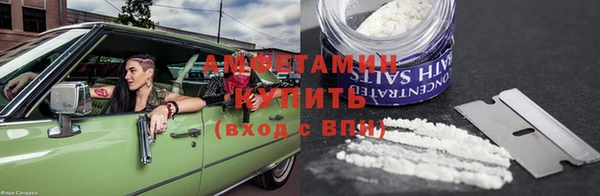 индика Бородино