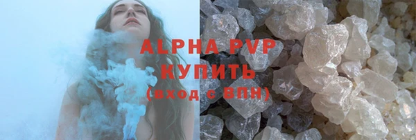 индика Бородино