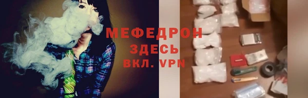индика Бородино