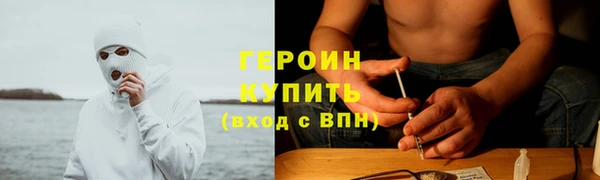 индика Бородино