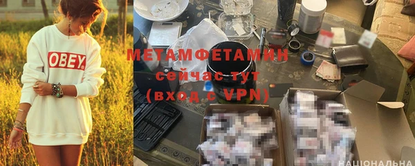 индика Бородино