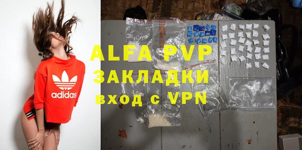индика Бородино
