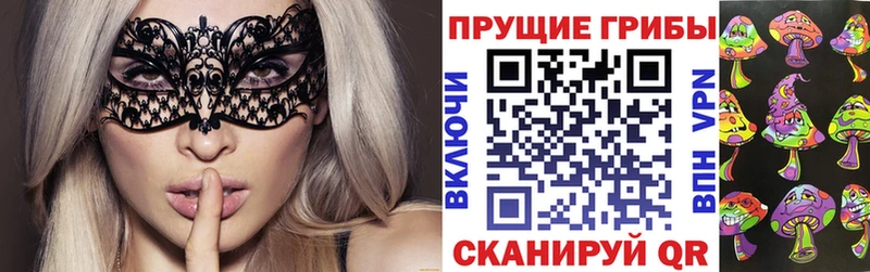 Псилоцибиновые грибы Cubensis  сколько стоит  Пятигорск 